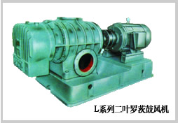 L5LD、L6LD羅茨鼓風(fēng)機(jī)