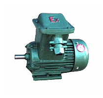 YB系列隔爆型三相異步電動(dòng)機(jī)